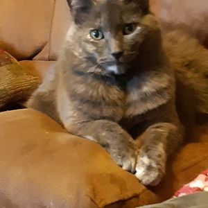 Meet your Posher, Tammy